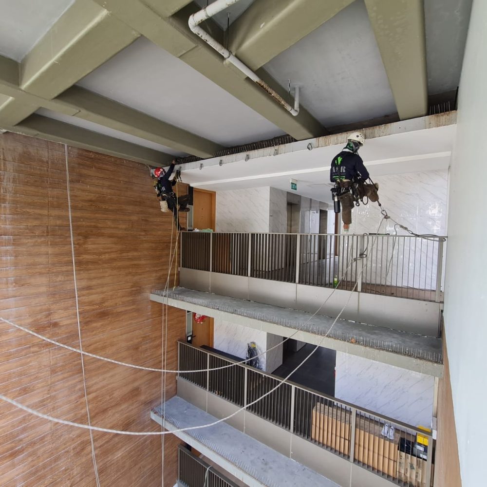 Bird-Proofing-Derbyshire-2.jpg
